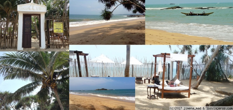 Maravilloso Sri Lanka, ese pequeño gran país - Blogs de Sri Lanka - Día 9 Relax en la playa, Colombo, Negombo (2)
