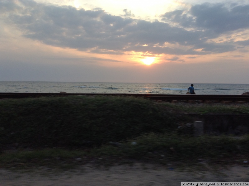 Maravilloso Sri Lanka, ese pequeño gran país - Blogs de Sri Lanka - Día 9 Relax en la playa, Colombo, Negombo (3)