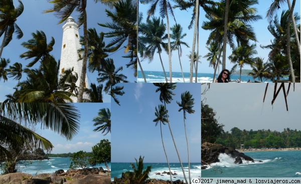 Faro de Dondra
Dondra es la punta más al sur de Sri Lanka. El faro está rodeado de palmeras y mar de un intenso color azul.
