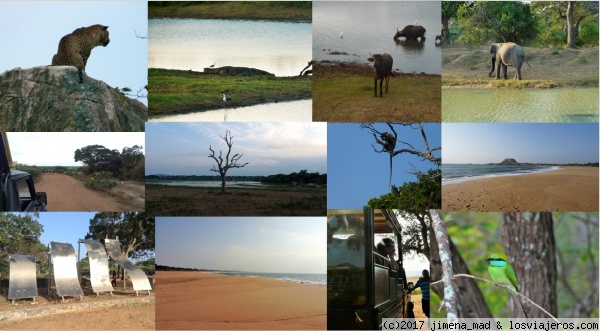 Parque Nacional de Yala
Vistas de Yala, leopardos, cocodrilos, búfalos, elefantes, monos, aves, monumento en memoria del tsunami 2004, playa de Yala.
