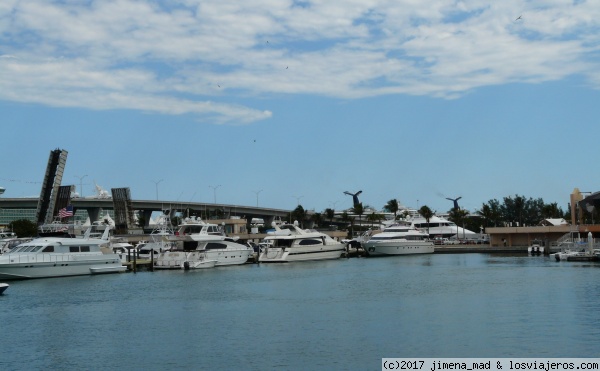 Bay Side, Puerto y barcos de cruceros (Miami)
El Puerto de Miami con los barcos de cruceros desde el Bay Side
