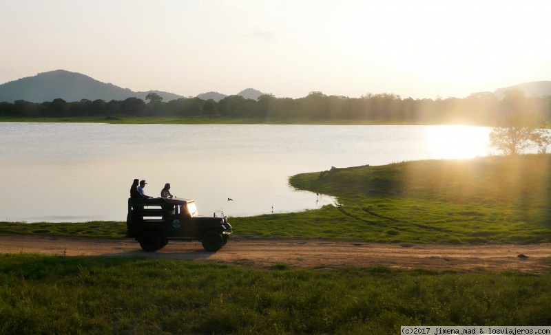 Maravilloso Sri Lanka, ese pequeño gran país - Blogs de Sri Lanka - Día 3 Sigiriya, Polonnaruwa, Safari Minneriya al atardecer (6)