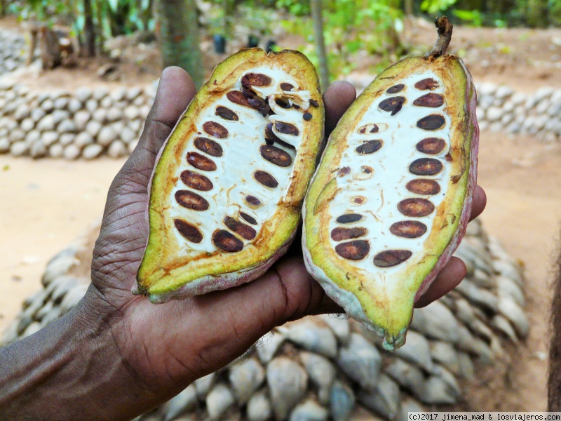 República Dominicana: Rutas turíticas del Cacao