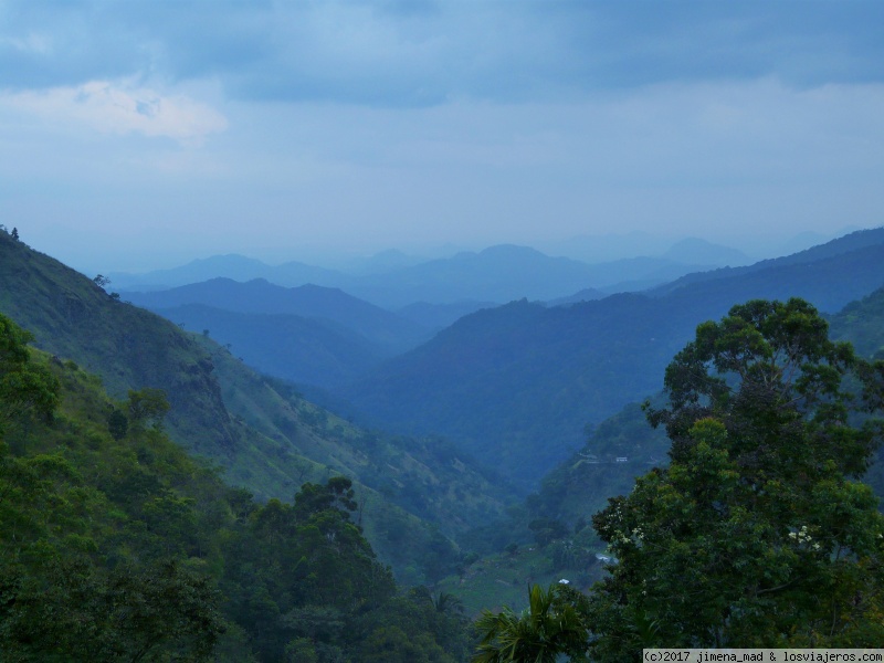 Maravilloso Sri Lanka, ese pequeño gran país - Blogs de Sri Lanka - Día 7 Nuwara Eliya, Nanu - Oya, Tren a Ella, Tissamaharama (6)