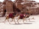 La Pequeña Petra y el Desierto del Wadi Rum