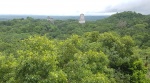 Vista de los Templos I, II, III Y V desde le Templo IV, Tikal (Guatemala)