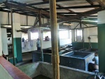 Fabrica de Batik
Batik