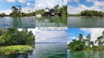 Río Dulce, Isla de pájaros, Lago Izabal (Guatemala)
río, dulce, lago, izabal, isla, pájaros