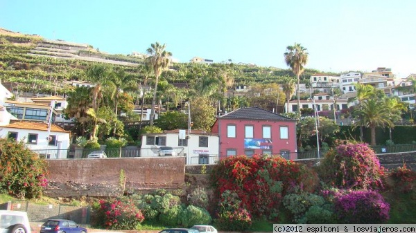 MADEIRA - CAMARA DE LOBOS
MADEIRA - CAMARA DE LOBOS
