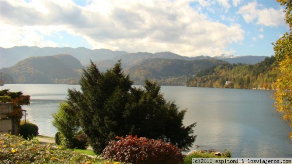 Lago Bled
Lago Bled desde la orilla
