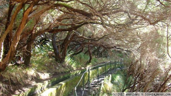 MADEIRA - LEVADA DAS 25 FONTES
MADEIRA - LEVADA DAS 25 FONTES
