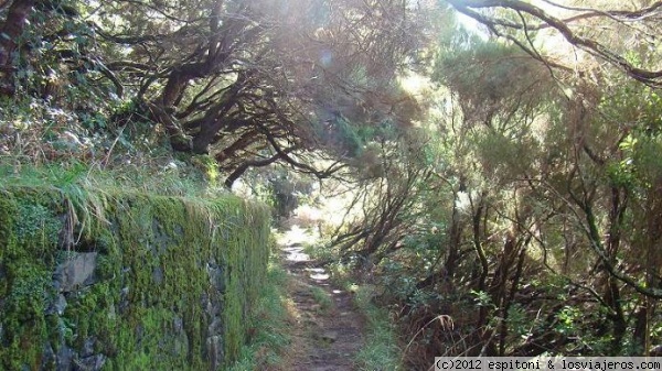 MADEIRA - LEVADA DAS 25 FONTES
MADEIRA - LEVADA DAS 25 FONTES
