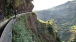 MADEIRA - LEVADA NOVA