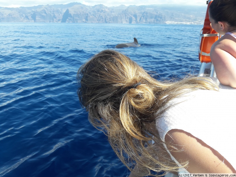 TENERIFE VISITA DE 3 DÍAS Y MEDIO - Blogs of Spain - DIA 2. BALLENAS EN LOS ACANTILADOS DE LOS GIGANTES. GARACHICO E ICOD DE LOS VINO (2)