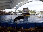 LORO PARQUE