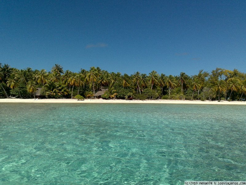 Foro de Micronesia: KIA ORA SAUVAGE POLINESIA FRANCESA