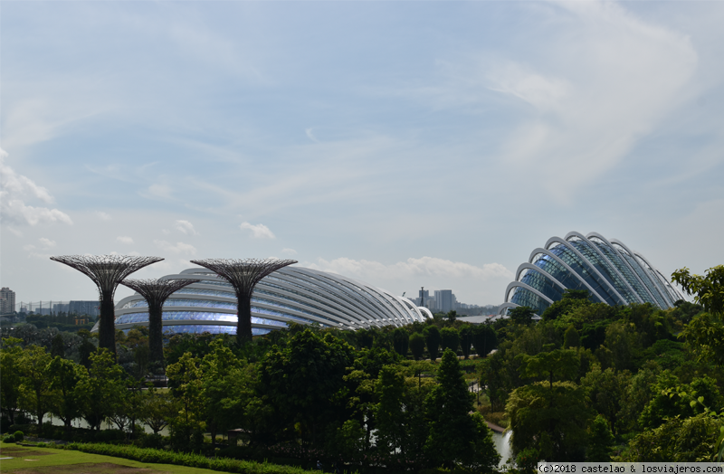 BANGKOK, SINGAPUR, BALI Y DUBAI (julio 2018) - Blogs de Asia - SINGAPUR y llegada a BALI. Gardens by the Bay, Little India y viaje a Ubud (5)