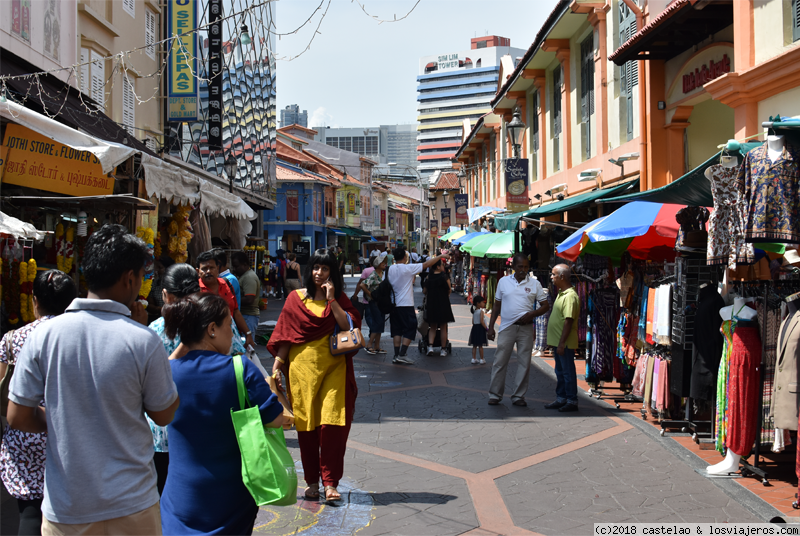 SINGAPUR y llegada a BALI. Gardens by the Bay, Little India y viaje a Ubud - BANGKOK, SINGAPUR, BALI Y DUBAI (julio 2018) (6)