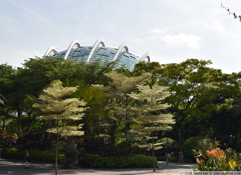 BANGKOK, SINGAPUR, BALI Y DUBAI (julio 2018) - Blogs de Asia - SINGAPUR y llegada a BALI. Gardens by the Bay, Little India y viaje a Ubud (1)