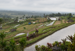 Jatiluwih terraces en Bali
Jatiluwih, Bali, terraces