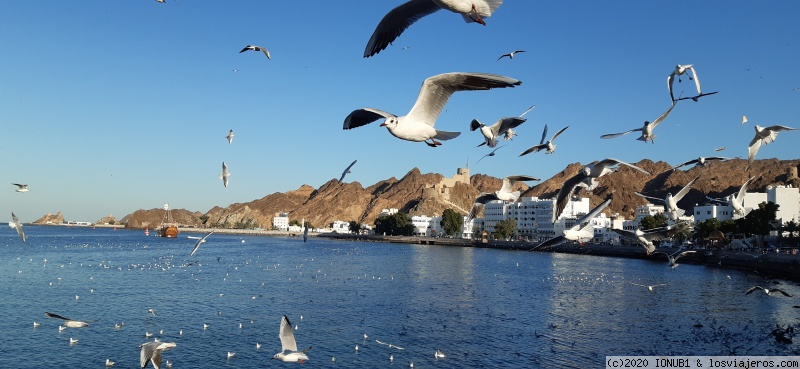 MOCHILERO: OMAN - Blogs de Oman - ITINERARIO (5)
