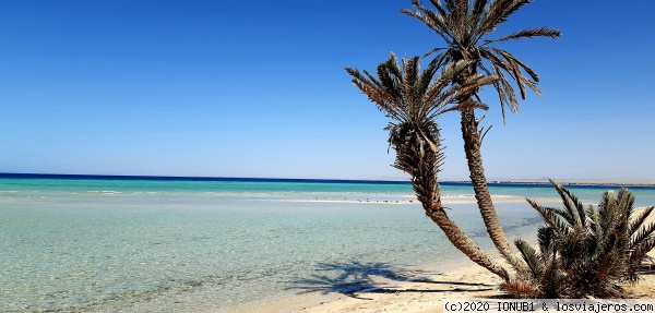 Playa en Umm Lajj
Playa paradisíaca al norte de la ciudad de Umm Lajj
