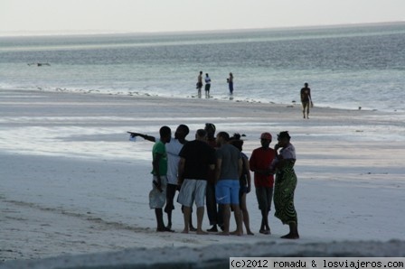 Beach Boys de Zanzibar
Los chicos de la playa de Kiwengwa
