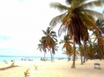 Singing Beach , Isla Saona, idyllic