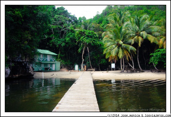 Manglares Haitises
Fotografía tomada en 2011 en los Haitises, Samaná, República Dominicana.
Hay varias zonas de manglares, la de la fotografía pertenece a un embacadero donde residían los vigilantes y hay unos senderos que llevan a cuervas y grutas muy interesantes.
