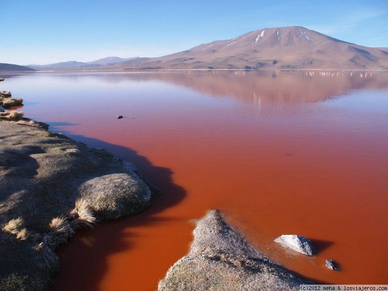 Foro de Bolivia en América del Sur: Laguna Colorada Bolivia