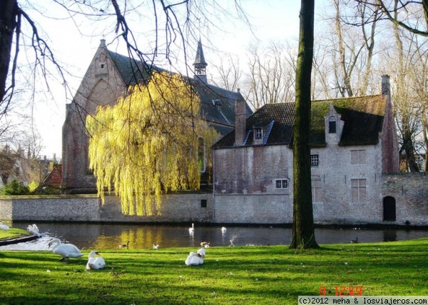 Beaterio de Brujas
tranquila zona
