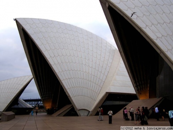 Opera de Sydney
Vista de las cúpulas de la Opera
