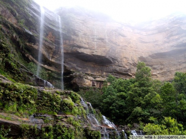 Blue mountains Sydney
Entorno natural en los alrededores de Sydney
