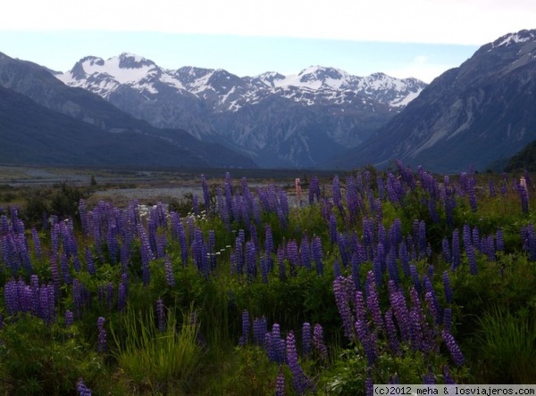 Paisajes de Arthur Pass - Nueva Zelanda
 - New Zealand