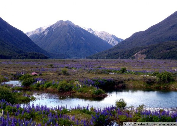 Paisajes de Arthur Pass - Nueva Zelanda