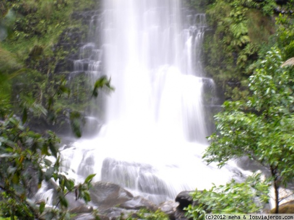 Cascada en la Great Ocean Road
Tras unos días de lluvia, estaba esplendorosa
