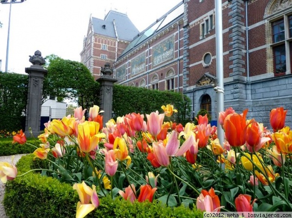 Tulipanes en el Rijksmuseum
El Rijksmuseum es el museo nacional de Amsterdam
