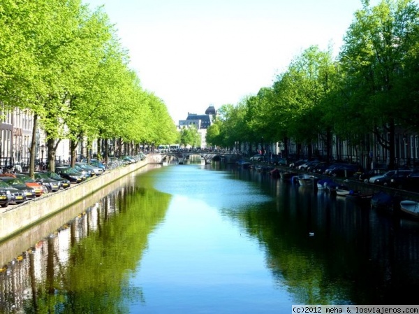 Arboles en los canales
Amsterdam, primavera recién llegada
