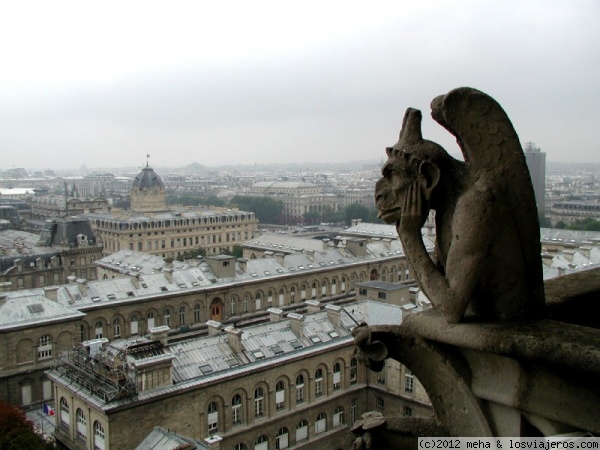 La gárgola mira con atención
Gárgola de Notre Dame de París
