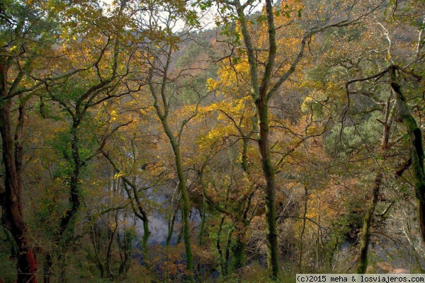 Otoño en el río Arnego
Paseando por el sobreiral do Arnego (municipio de Agolada - Pontevedra)
