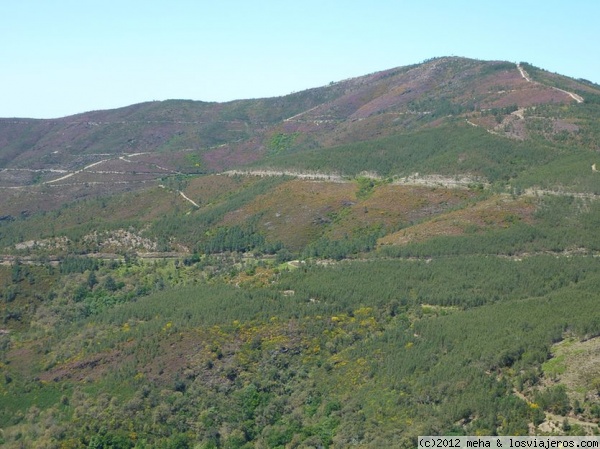 Serra do Alvao
Zona Vila Real
