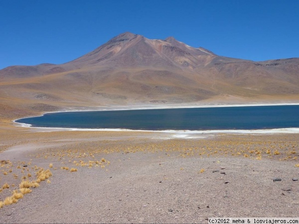 Laguna Meñiques
En la puna de Atacama, al lado de la laguna Miscanti, a más de 4000 m
