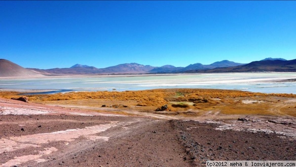 Laguna de Aguas Calientes
En la puna de Atacama, más allá de donde llegan las excursiones turísticas
