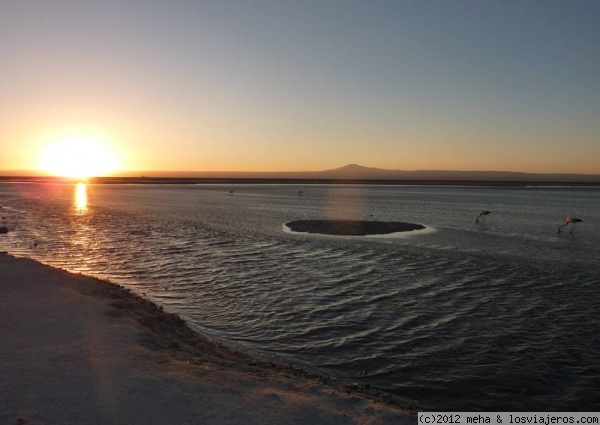 Atardecer en la laguna Chaxa Atacama
La laguna está en medio del salar de Atacama, el segundo salar más grande del mundo
