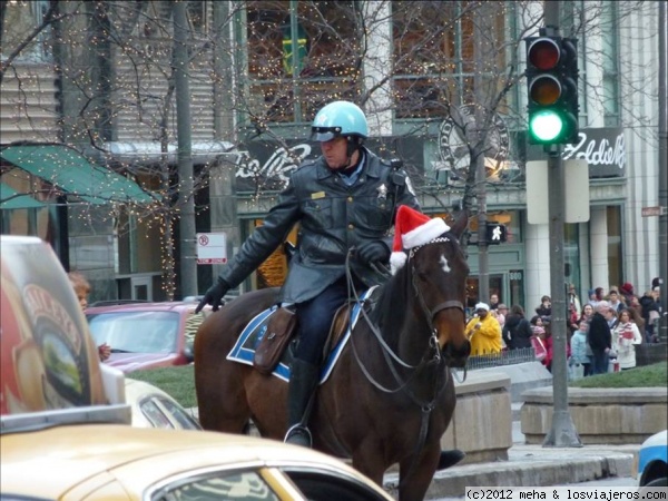 El caballo navideño
Simpático con el gorro de Papa Noel. En Chicago
