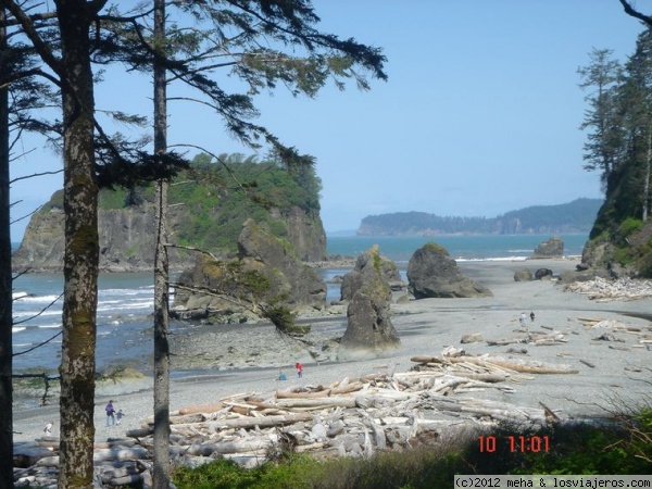 Rubi beach
Costa de Olympic Peninsula, estado de Washington
