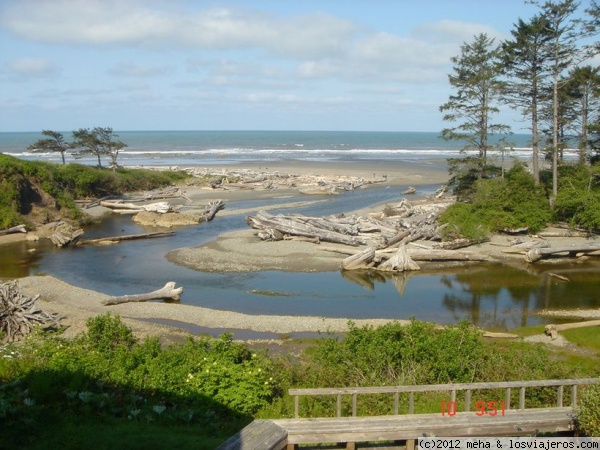 Playa Kalaloch
En el Océano Pacífico, en la costa del estado de Washington
