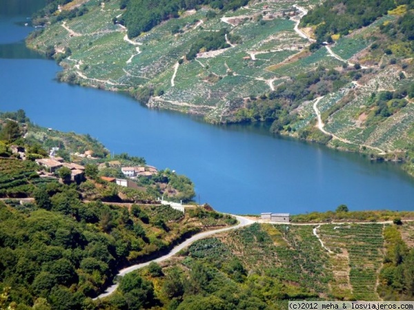 Viñedos en la Ribeira Sacra
Lugar con microclima especial a orillas del río Sil (entre las provincias de Lugo y Ourense)
