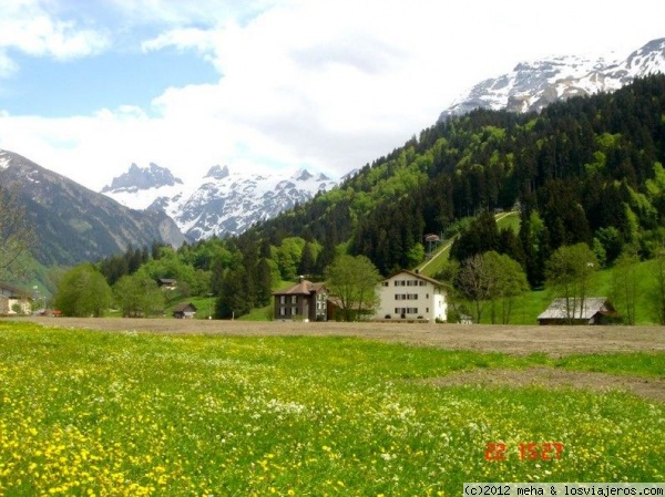 Primavera en los Alpes suizos
los campos llenos de florecillas
