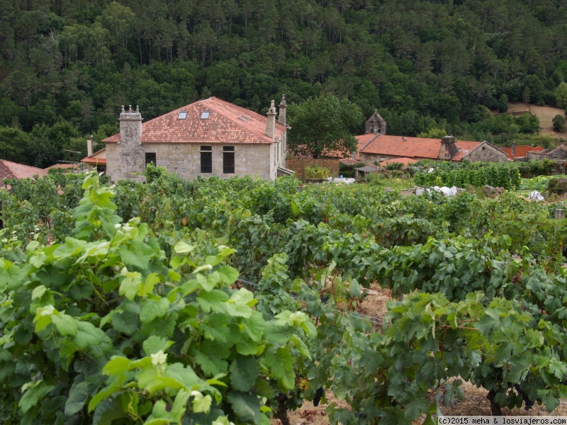 ENOTURISMO EN EL ALGARVE: UN VIAJE POR SUS DENOMINACIONES DE ORIGEN